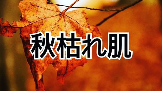 10月になり、日に日に秋らしい風を感じるようになりました。蒸し暑い夏もやっと去り、過ごしやすい季節の訪れを感じさせてくれますね。

しかし、そんないまの季節を侮ってはいけません！実は夏に受けたダメージは、これから徐々に肌に現れてくるのです・・・！！
それはまさに、トラブルを招く“秋枯れ肌”。
そして、それを放置すると未来のあなたの肌に大きなダメージが！。 “秋枯れ肌”にならないよう、初秋のいまから適切なケアで対策をしましょう！ 秋枯れ肌とは？ ️カサカサ
️スカスカ
️ボロボロ

夏のダメージが原因で秋に出てきてしまう肌トラブル のこと。 肌がごわつく、 かさつく、 たるむ、 化粧ノリが悪い、 小ジワが気になるなど、 “秋枯れ肌”のトラブルは数多くありますが、 その中でも特に注意したいのは肌の「ごわつき」 放っておくと悪循環に陥って冬までその肌状態を引きずることもあります。 
さらに、 実は 肌の老化リスクは一年を通して️秋がピーク️ 。 秋のスキンケア次第で今後1年間の美肌が決まるといっても過言ではありません。 つまり、 1年で最も徹底したケアが必要なのが、 まさに今 なのです。 
紫外線は年中降り注いでいます。 夏は意識的に日焼け止めをつけていたけれども、 秋になって涼しくなると対策を疎かにしてしまっている方も多いのでは？ 紫外線は肌の乾燥を招くだけでなく、 “秋枯れ肌”の原因のひとつである角質肥厚を起こし、 結果的にたるみを引き起こします 。  日焼け止めは年中つけて、 たるみケアを万全にしましょう！

秋はもっとも老化リスクの高い季節だといわれています。実際、9月ごろになると乾燥やくすみ、肌荒れなど老化のサインともいえる症状に悩まされている女性は約7割にものぼります。
秋に老化を進行させないためにしっかりとケアをすることが、一年の美肌を決めると言っても過言ではありません！

皮膚表面の角質層はラップ1枚の厚さ！表面が枯葉のようにガサガサ、ボロボロにならないように！
保湿と紫外線対策が必要